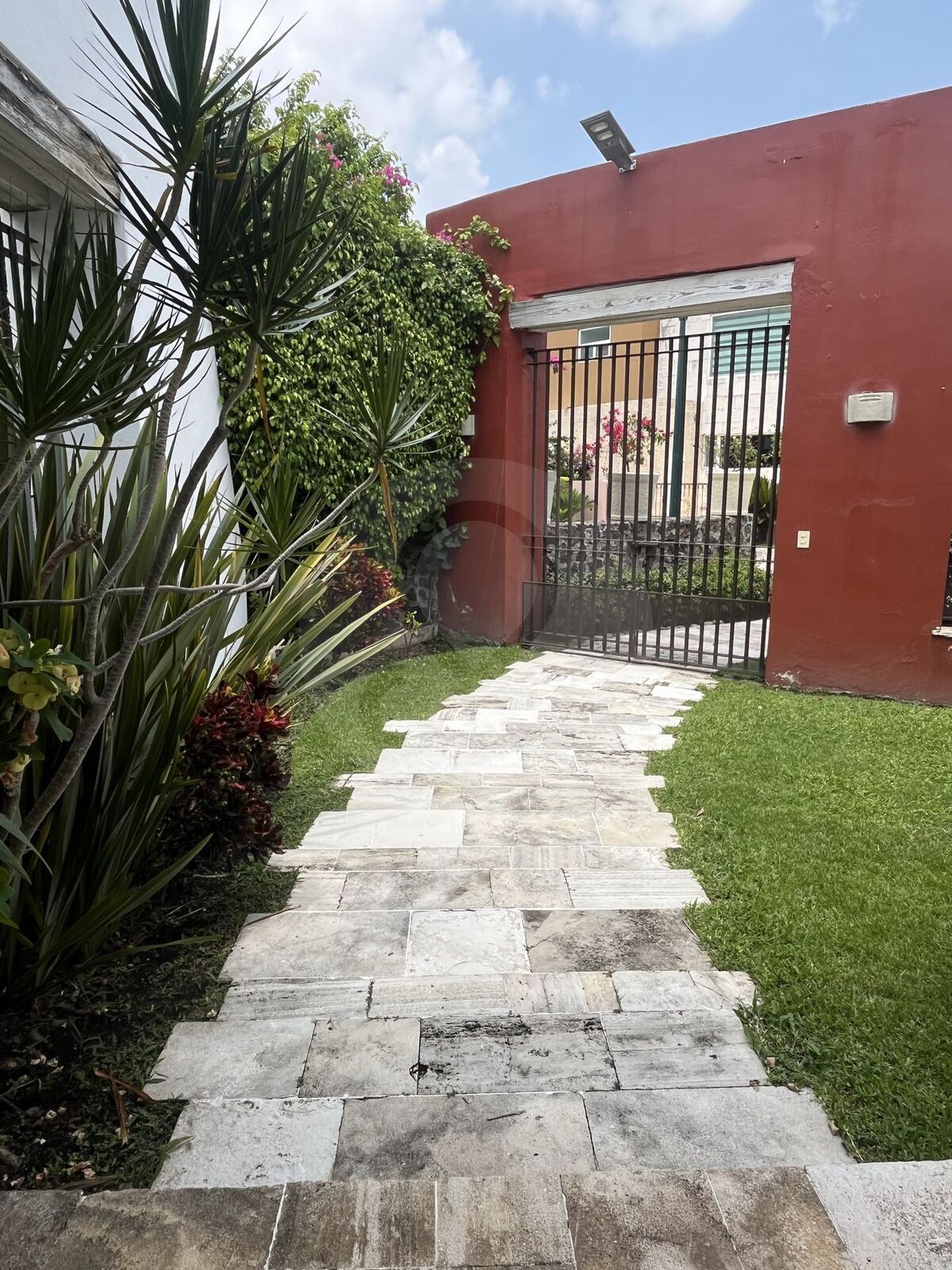 29 de 50