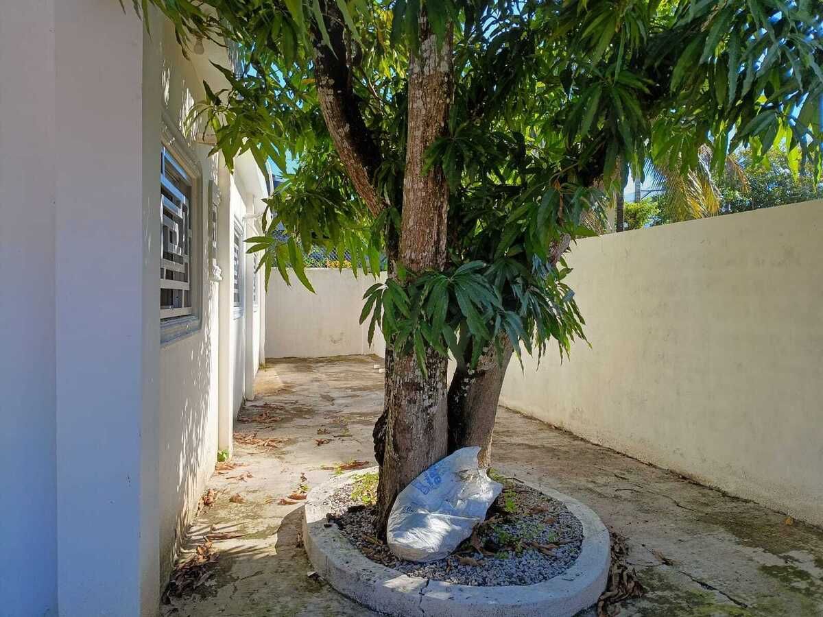 5 de 19