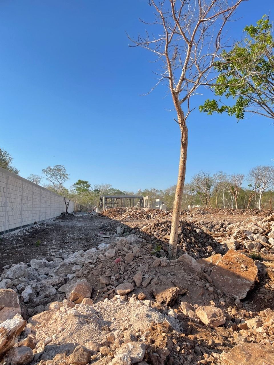 12 de 14: AVANCE DE OBRA JUNIO 2025