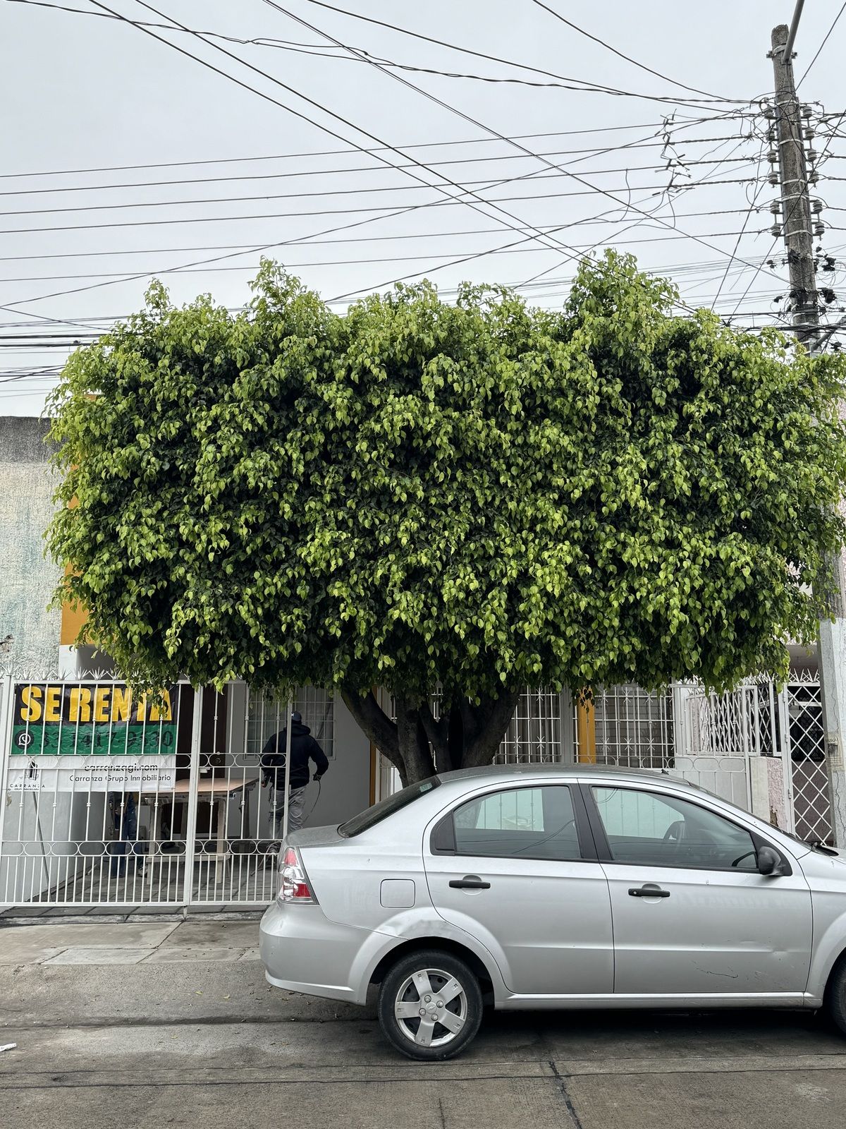 2 de 25