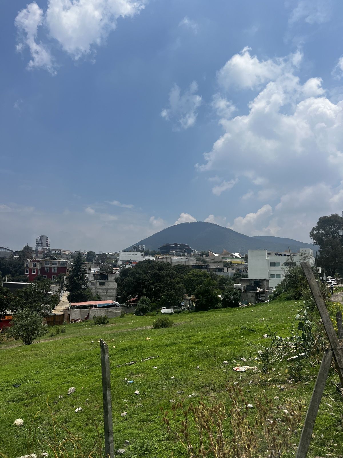 6 de 13