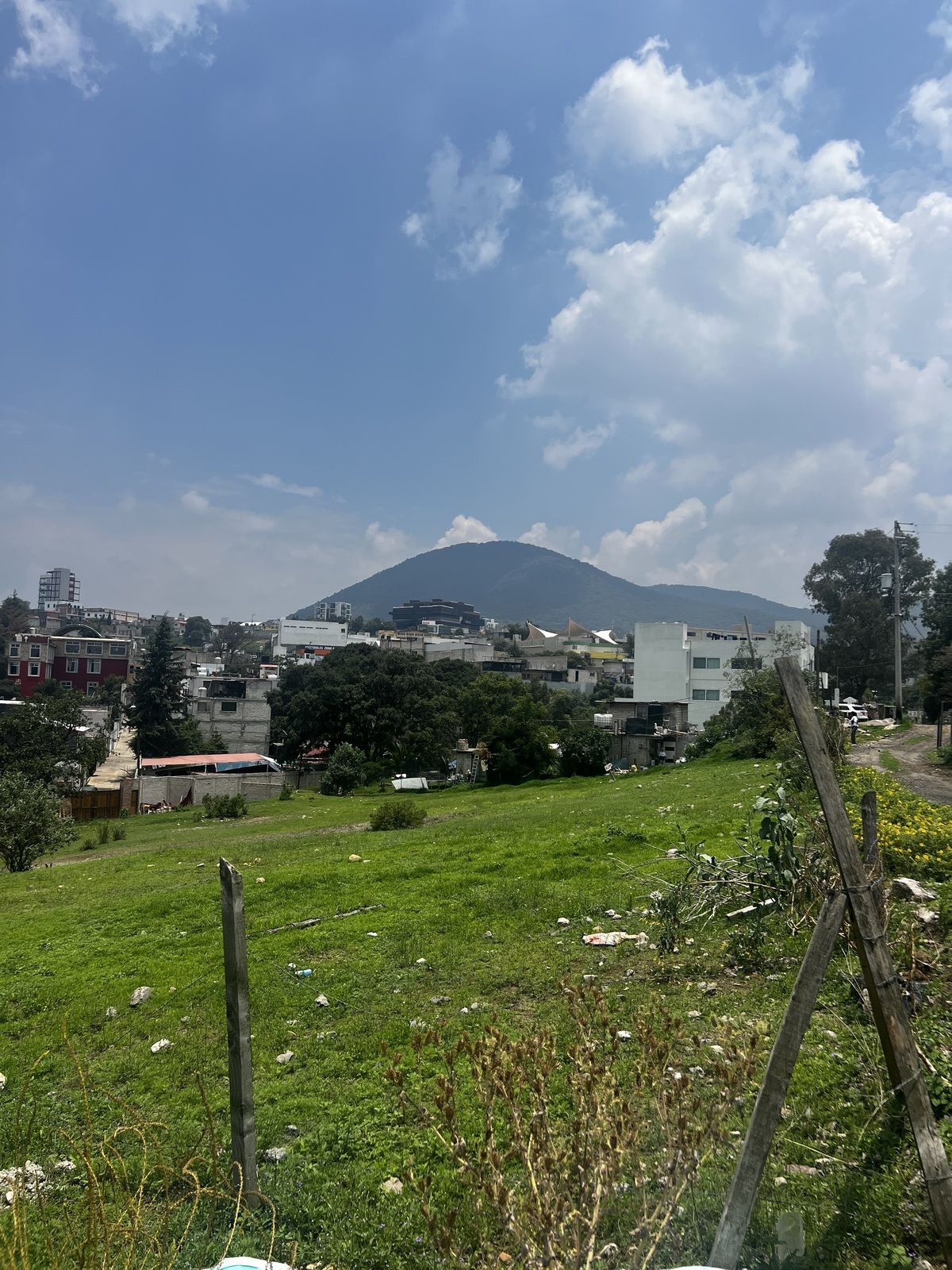 7 de 13