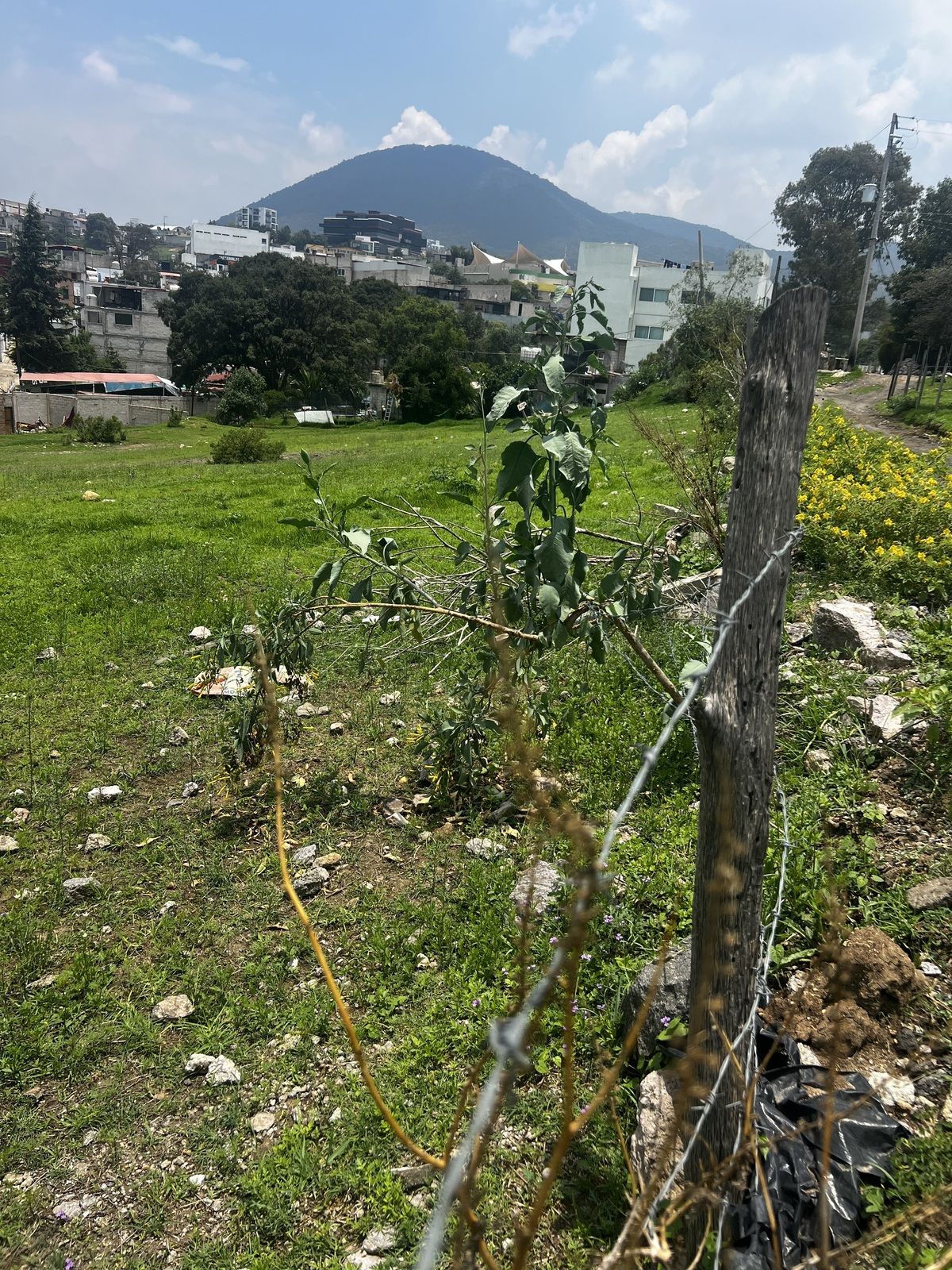 8 de 13