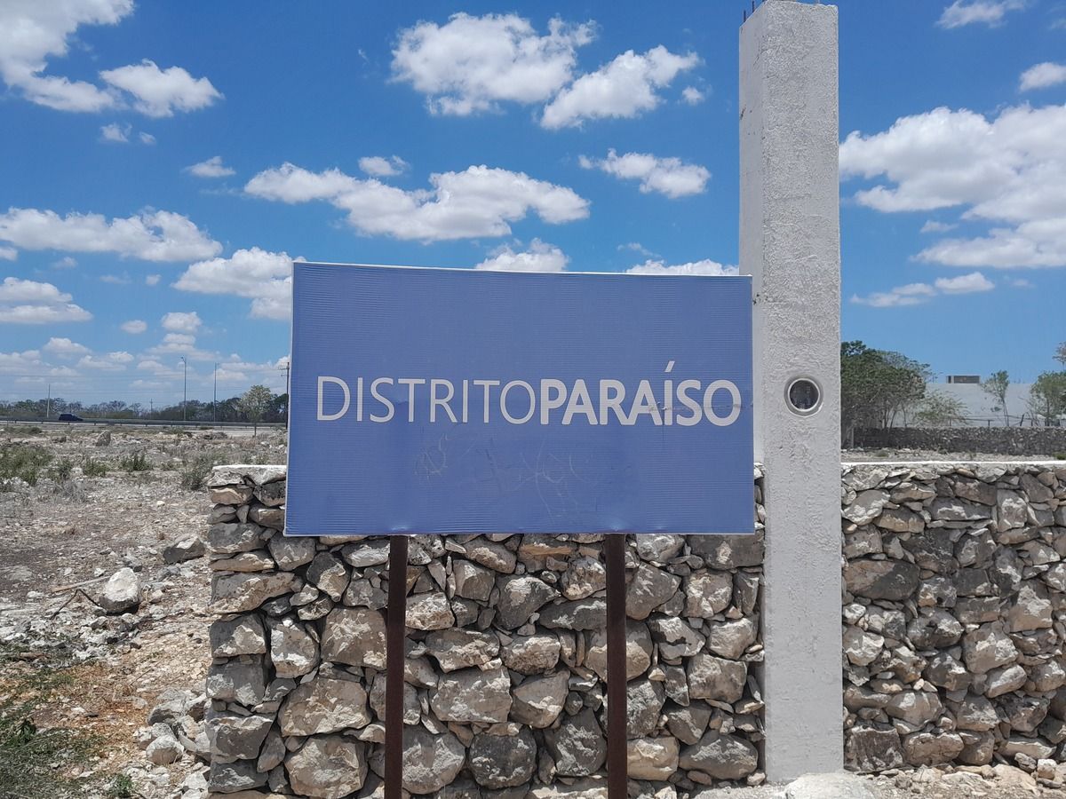 3 de 7