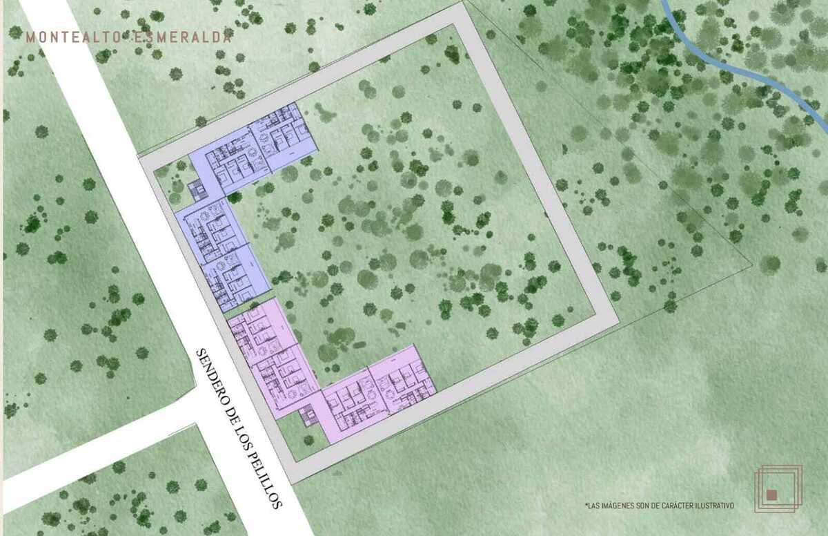 32 de 44