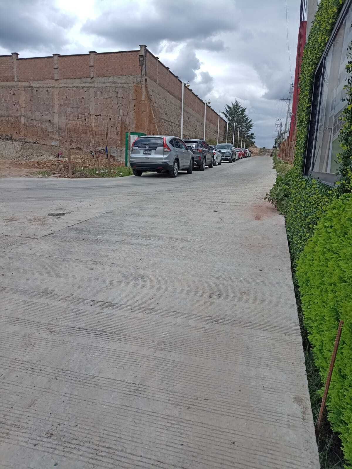 12 de 50