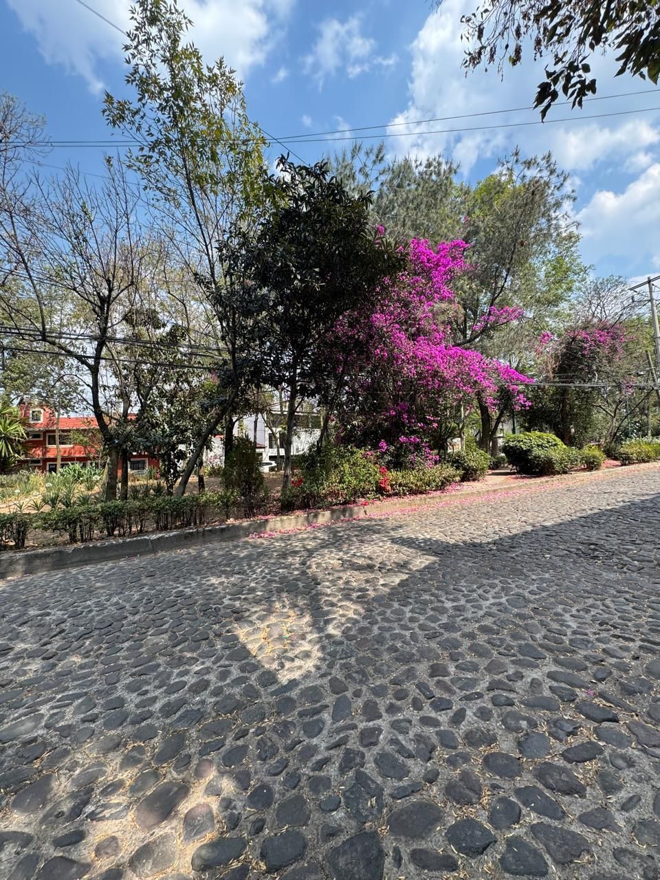 4 de 40