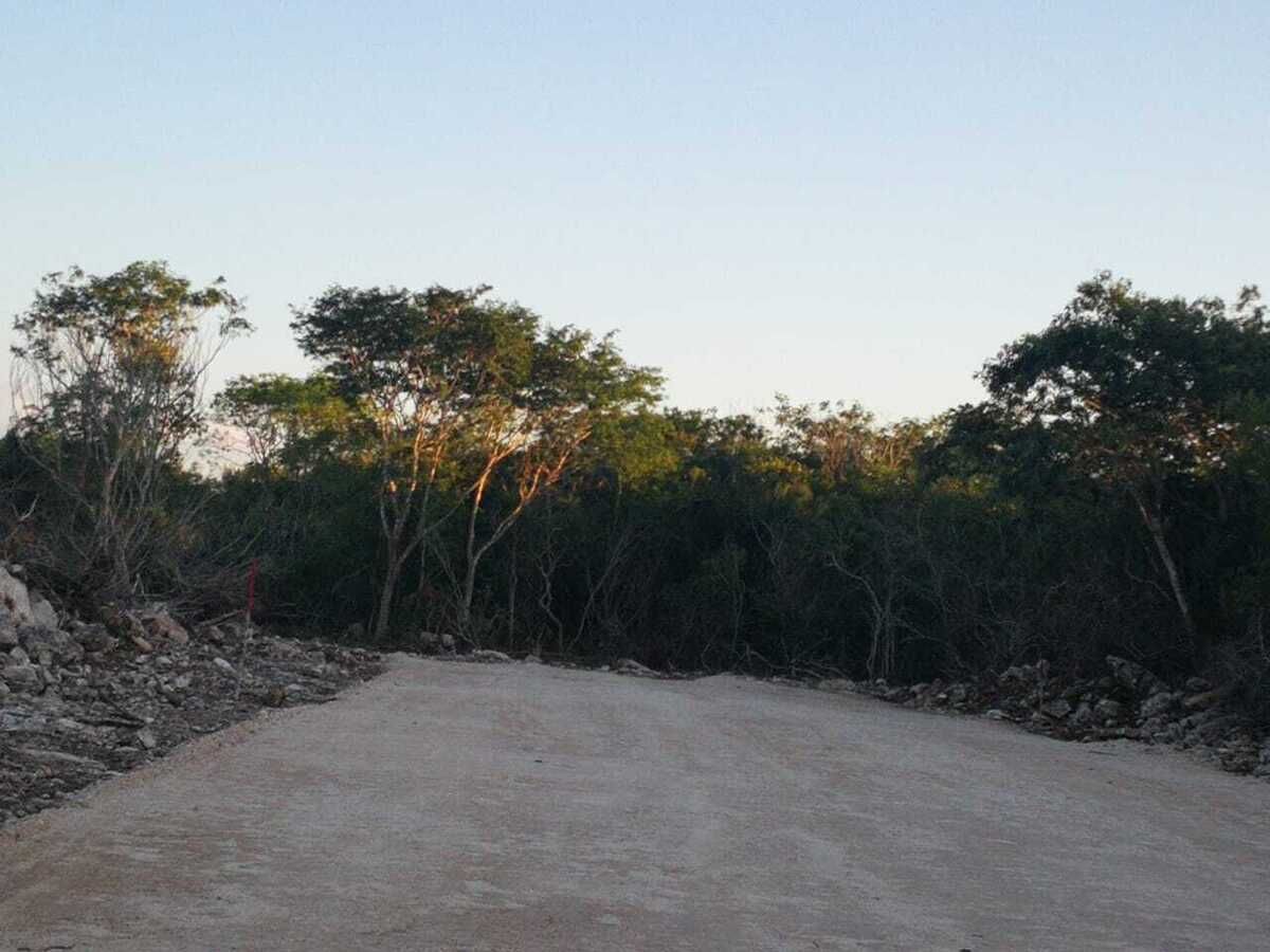 6 de 8