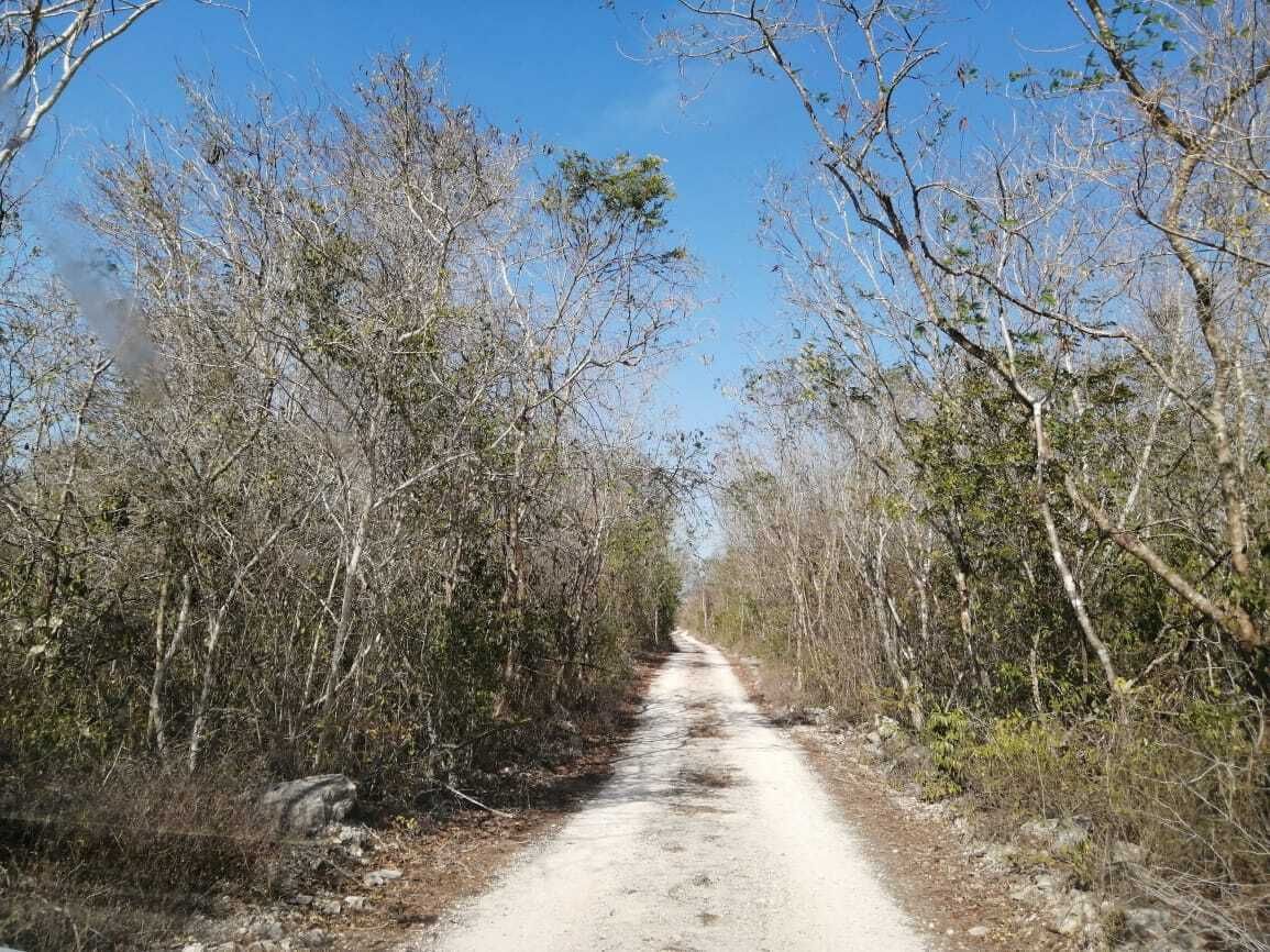 7 de 8