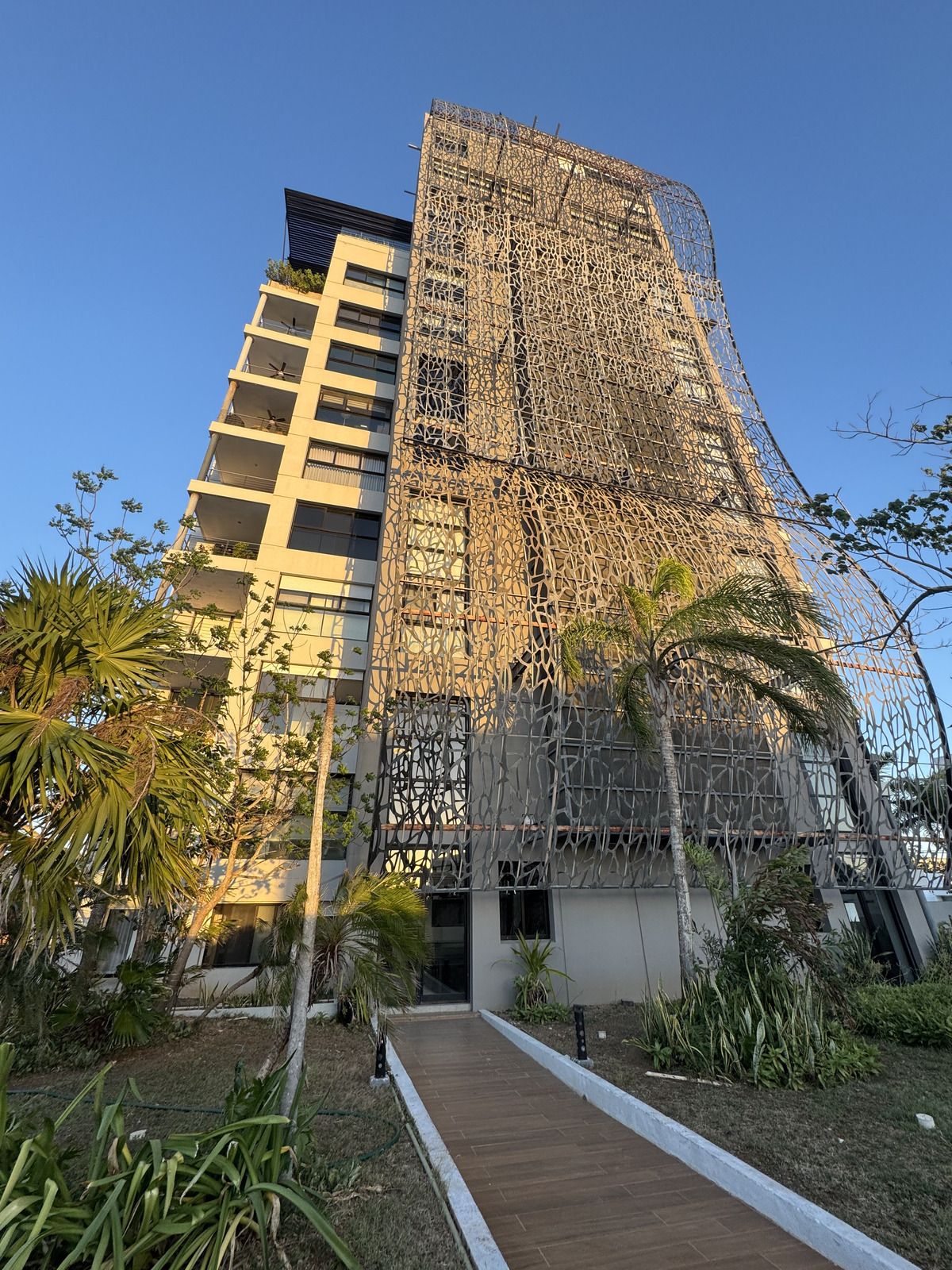 9 de 15