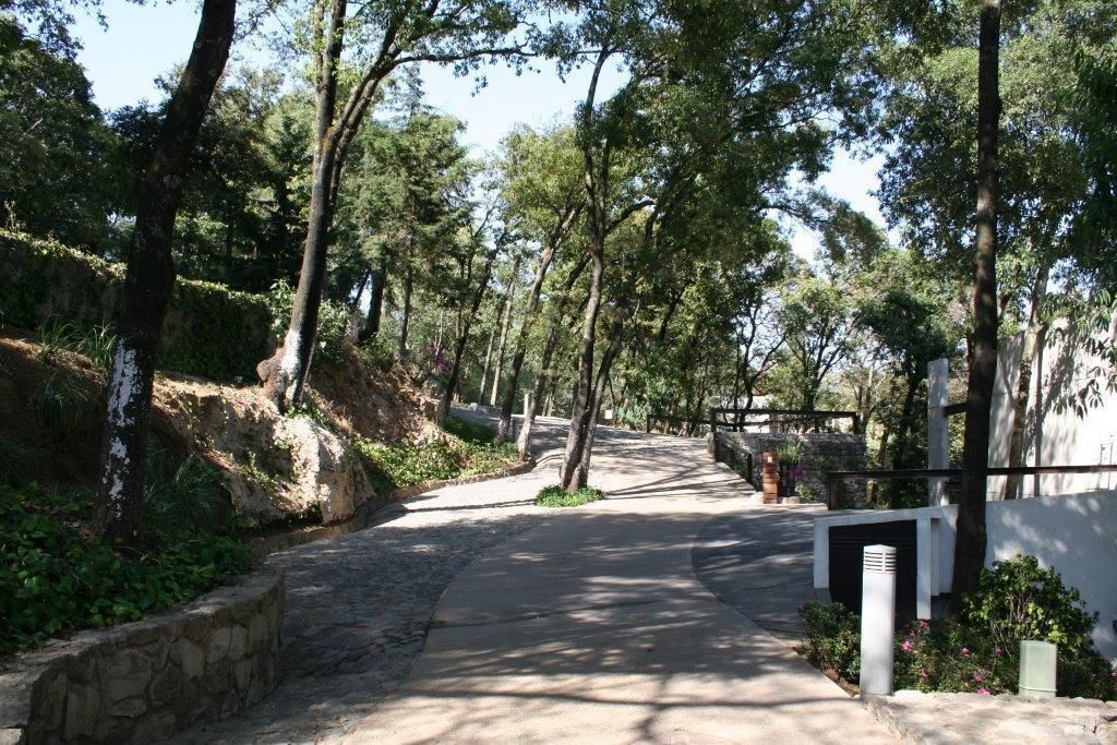 2 de 13
