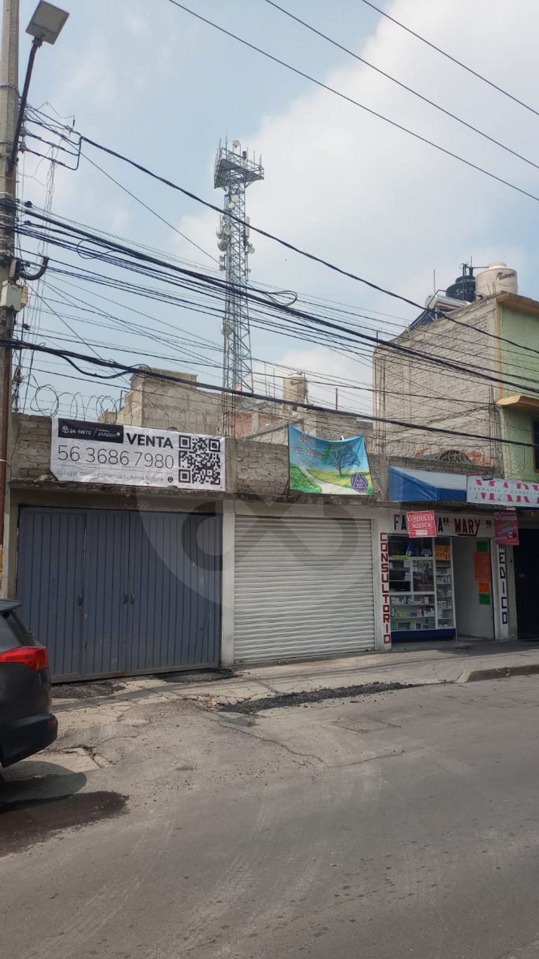 5 de 12