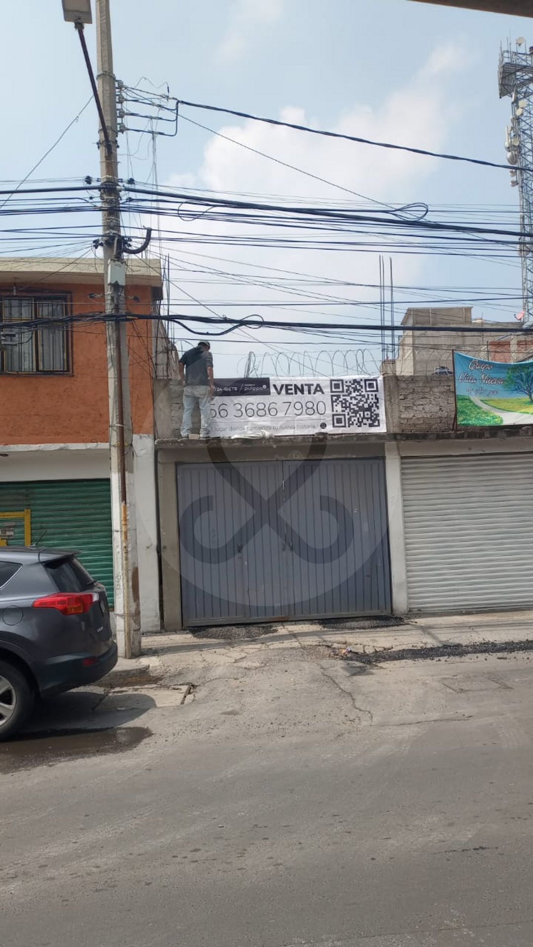 7 de 12