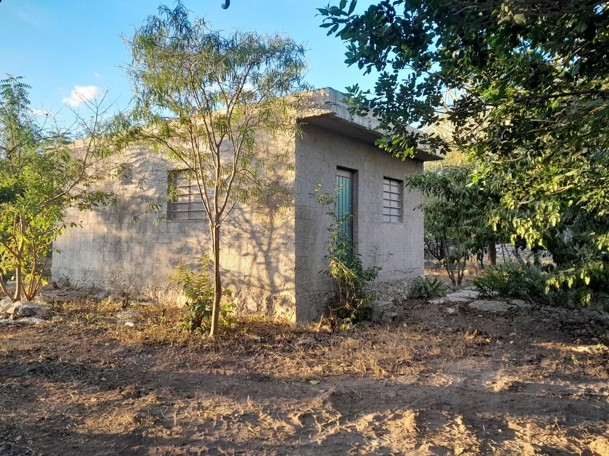 3 de 5