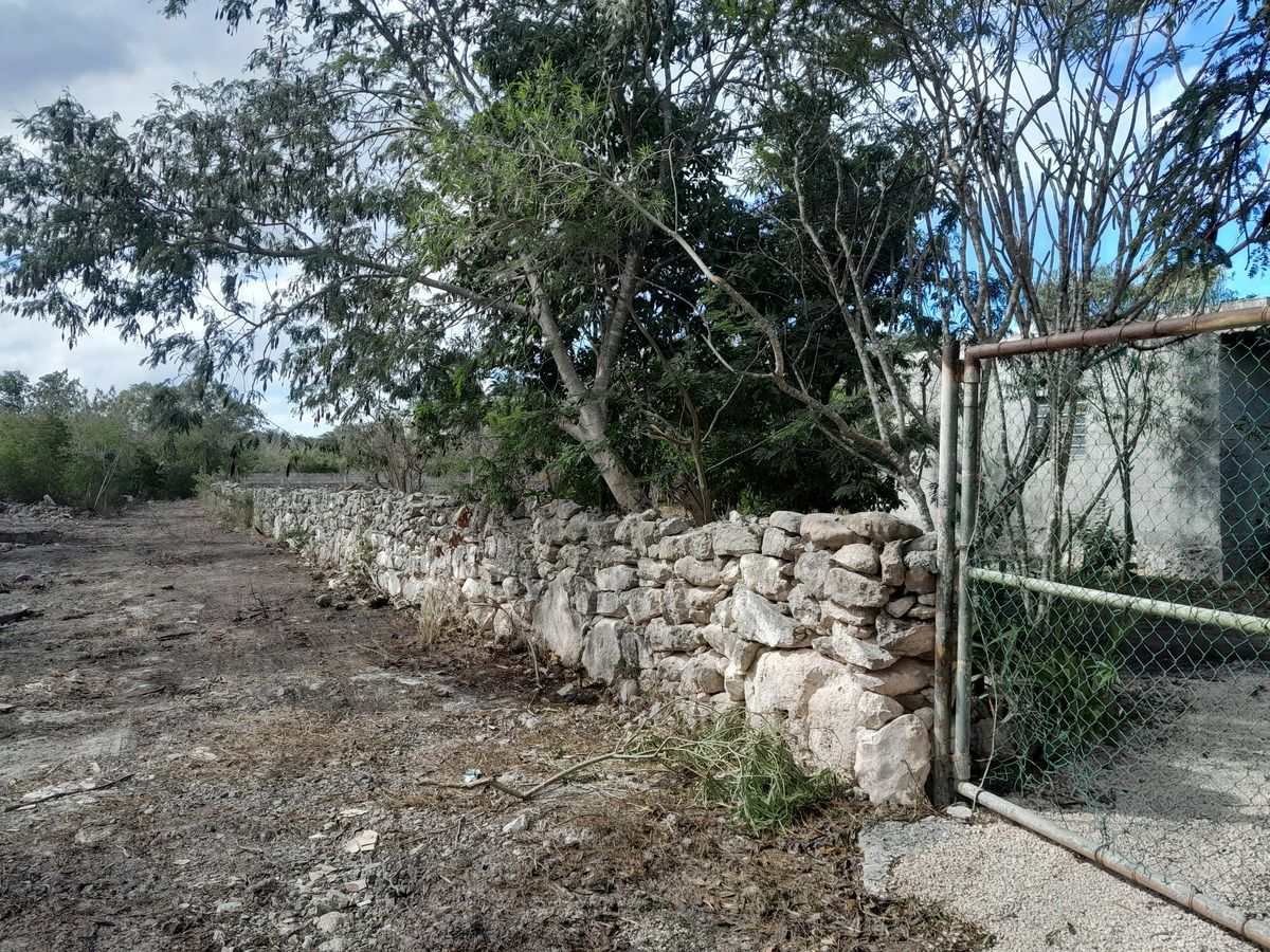 4 de 5