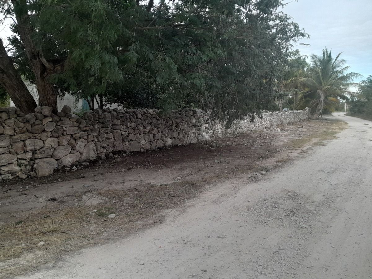 5 de 5
