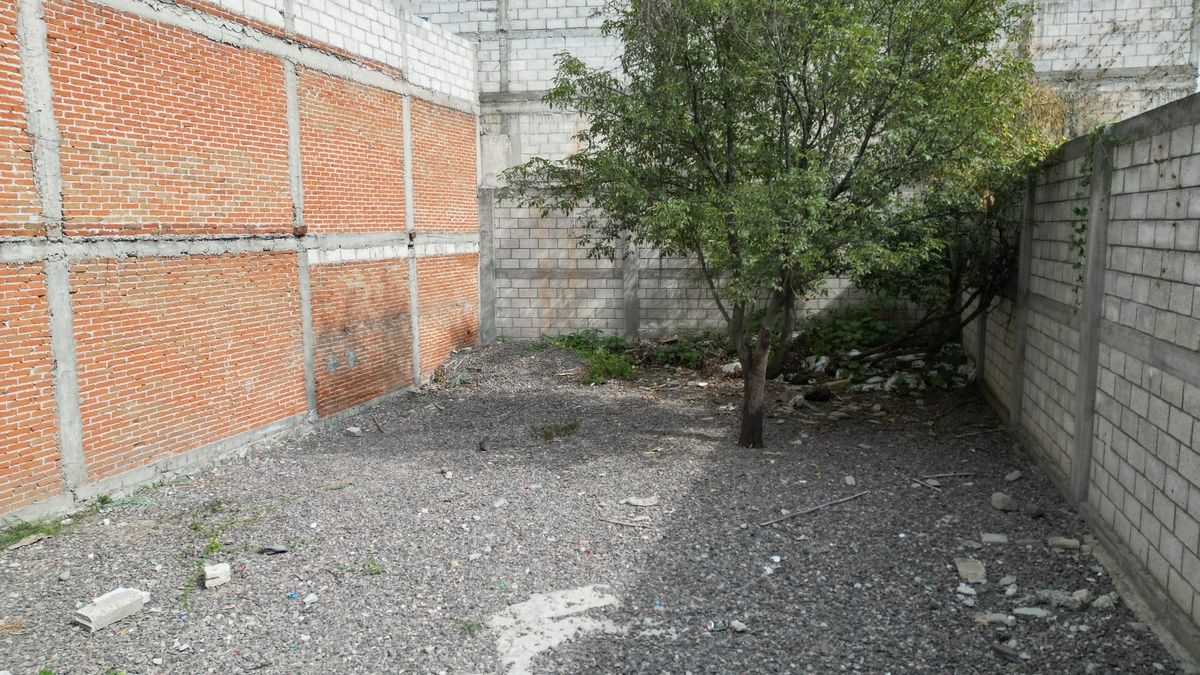 1 de 10