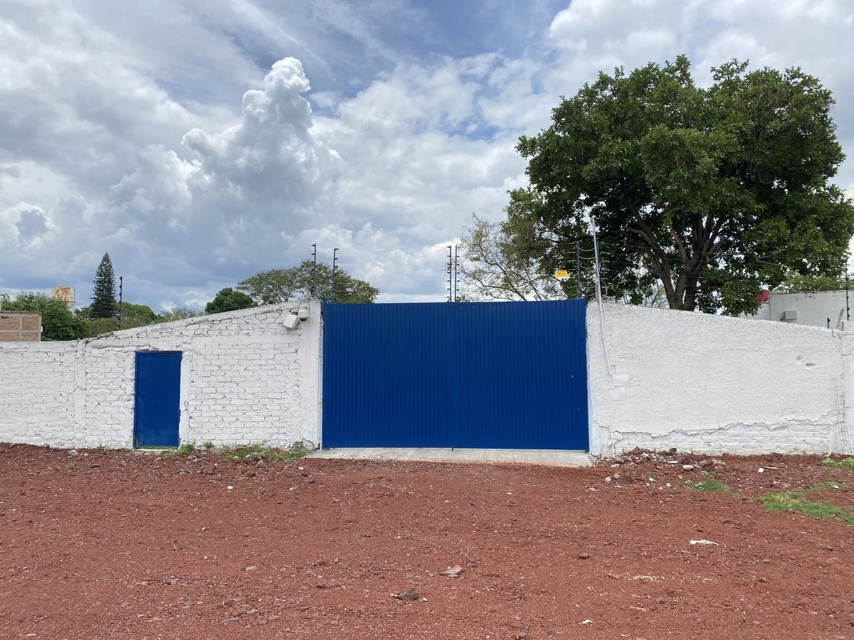 5 de 12