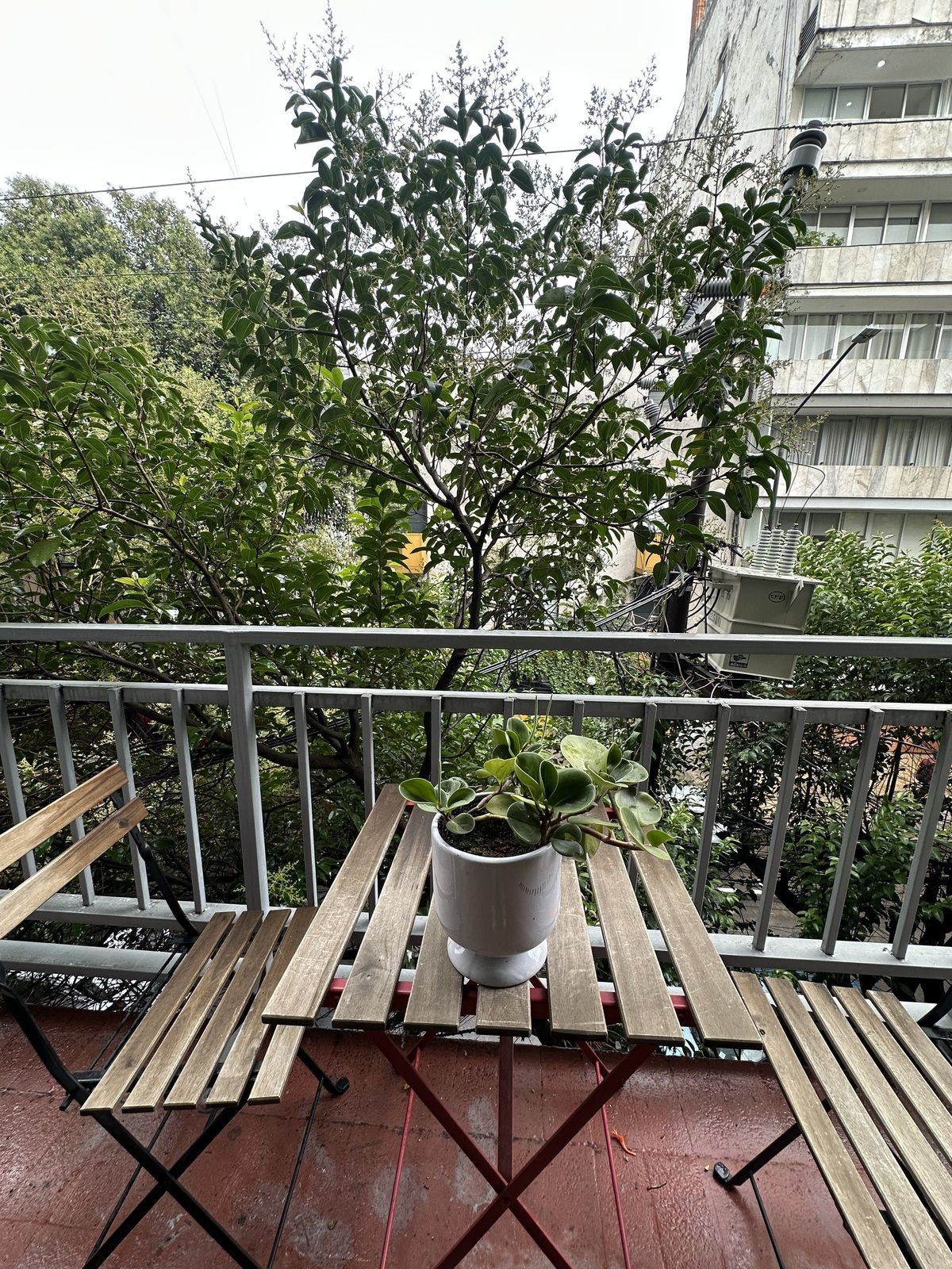 2 de 37