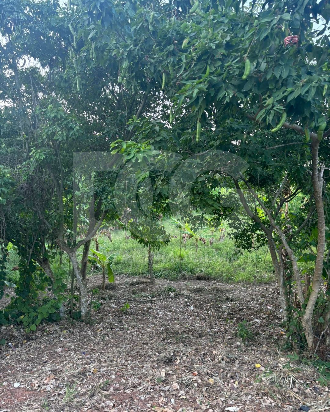 2 de 6: Acceso al terreno