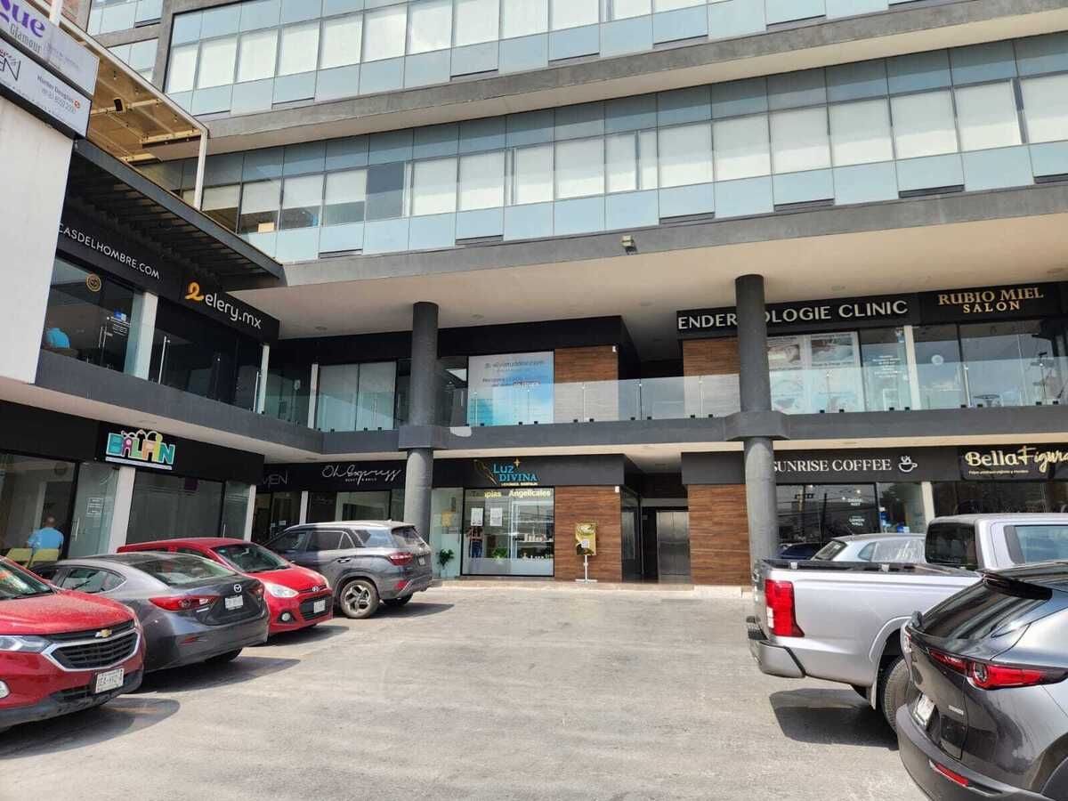 8 de 12