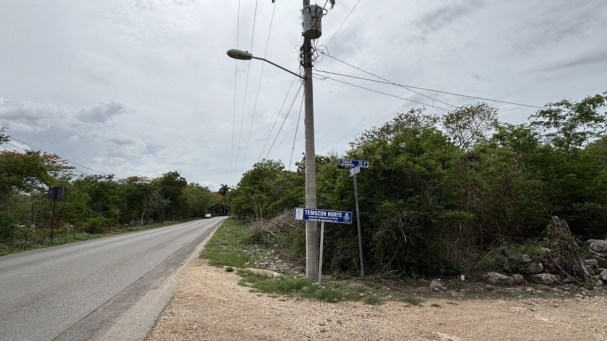 2 de 6