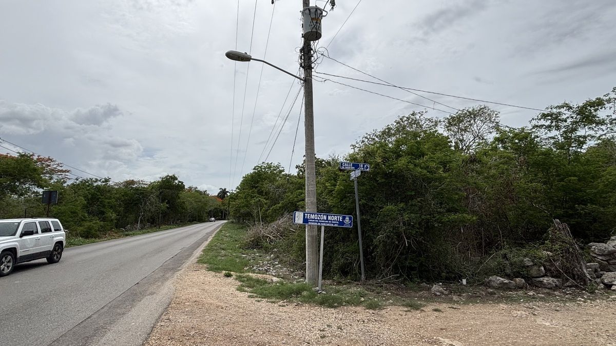 5 de 6