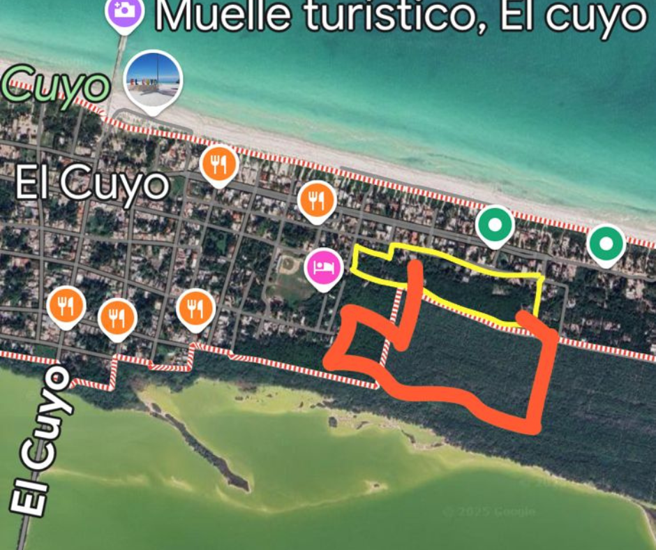 4 de 5