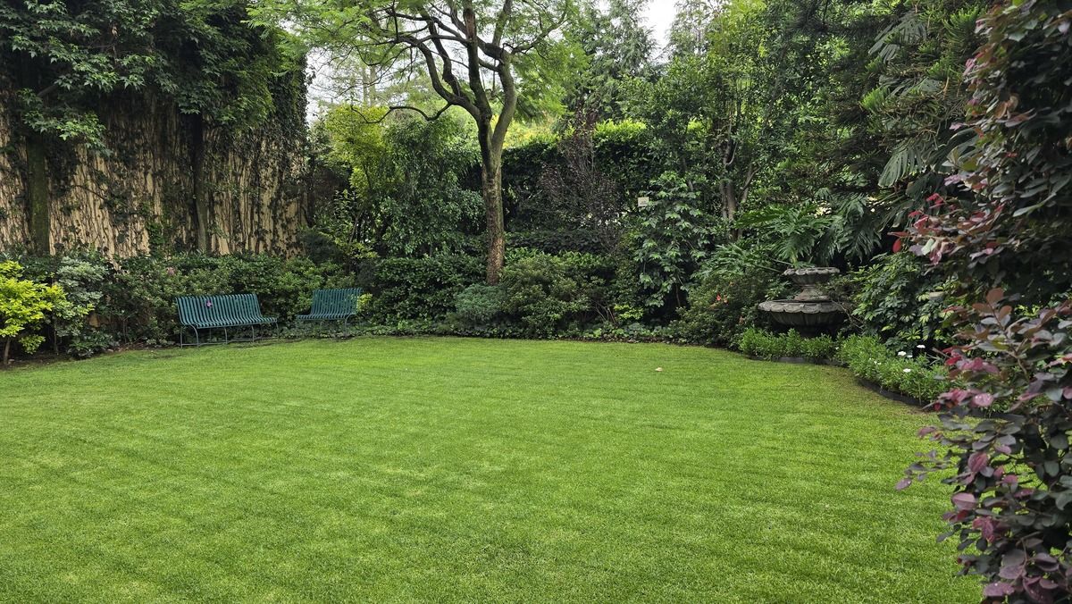 4 de 30: Casa en Venta en Jardines del Pedregal Rayo Vende ®