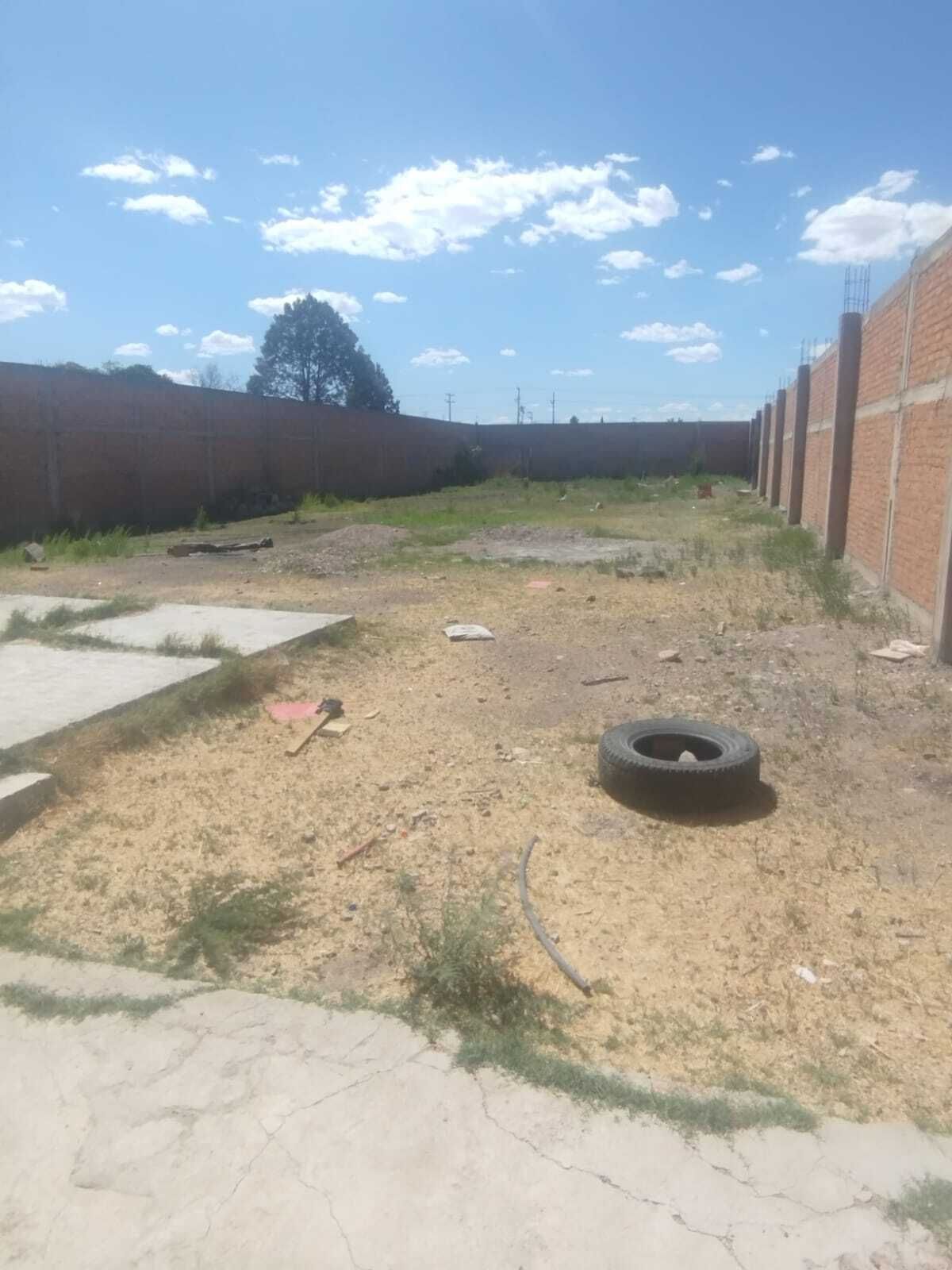 3 de 9