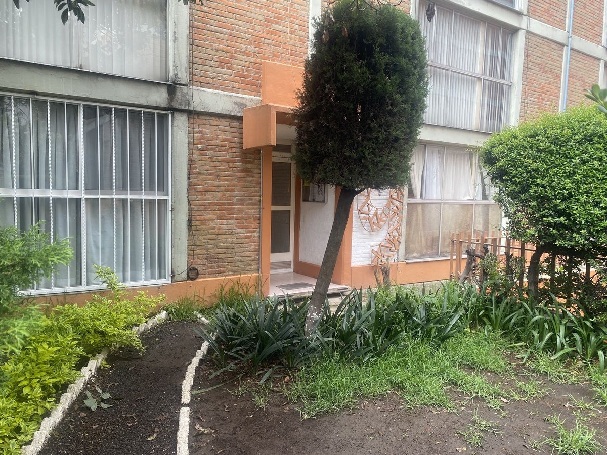 2 de 11