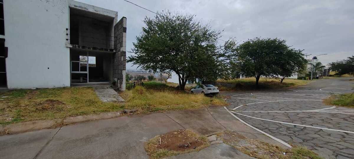 Imagen 3 de 10