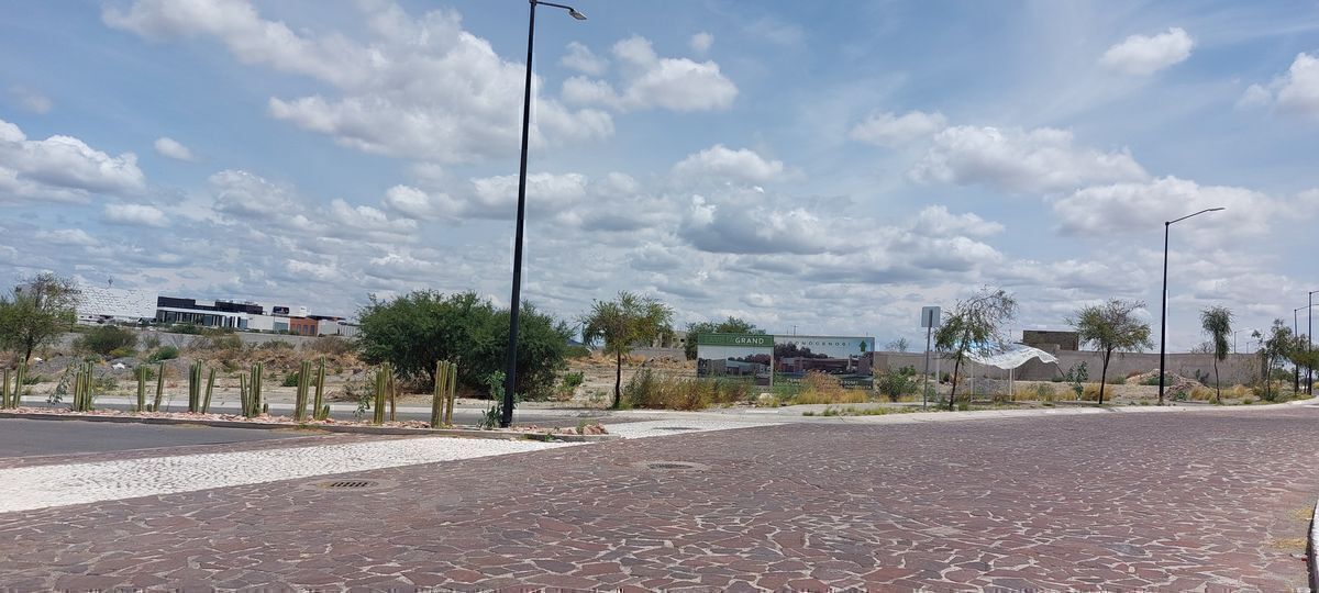 6 de 14