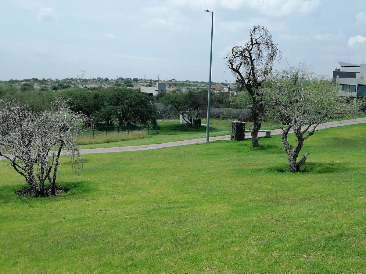 10 de 14
