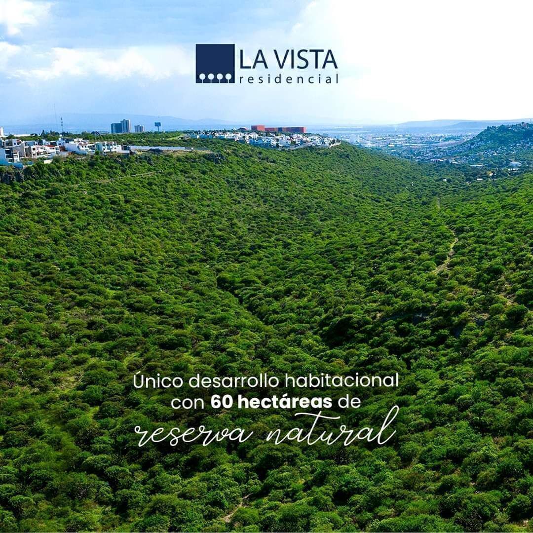 14 de 14