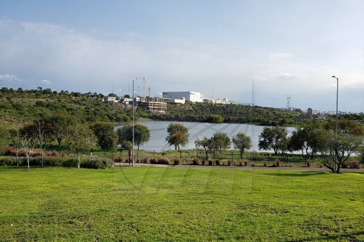 14 de 17