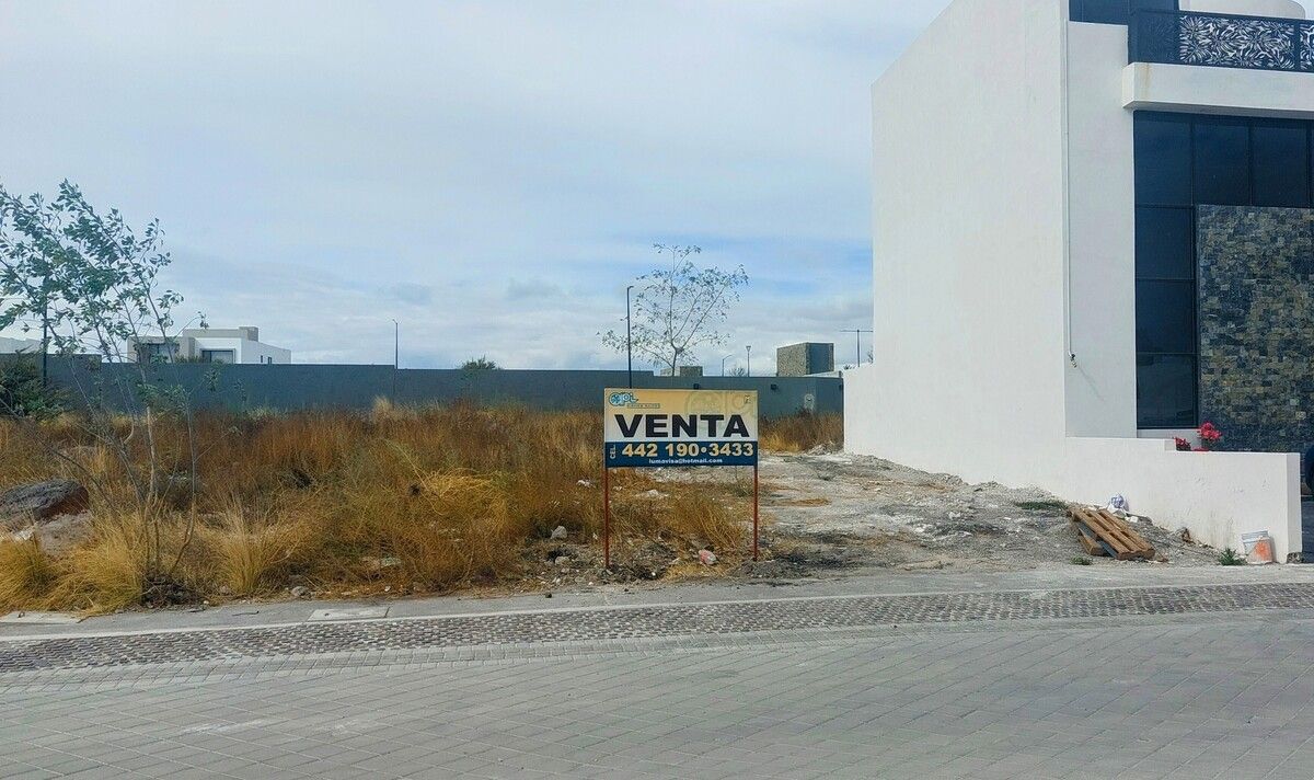 6 de 17