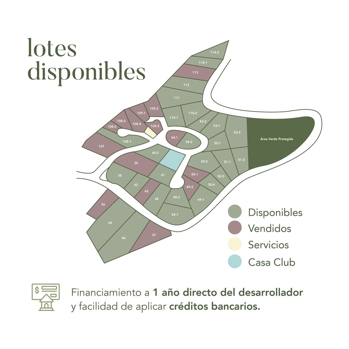 5 de 7