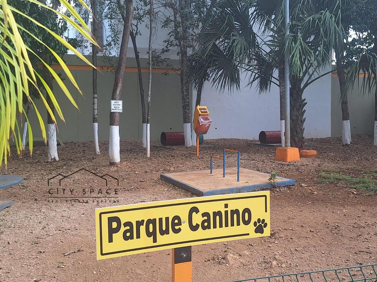 11 de 13