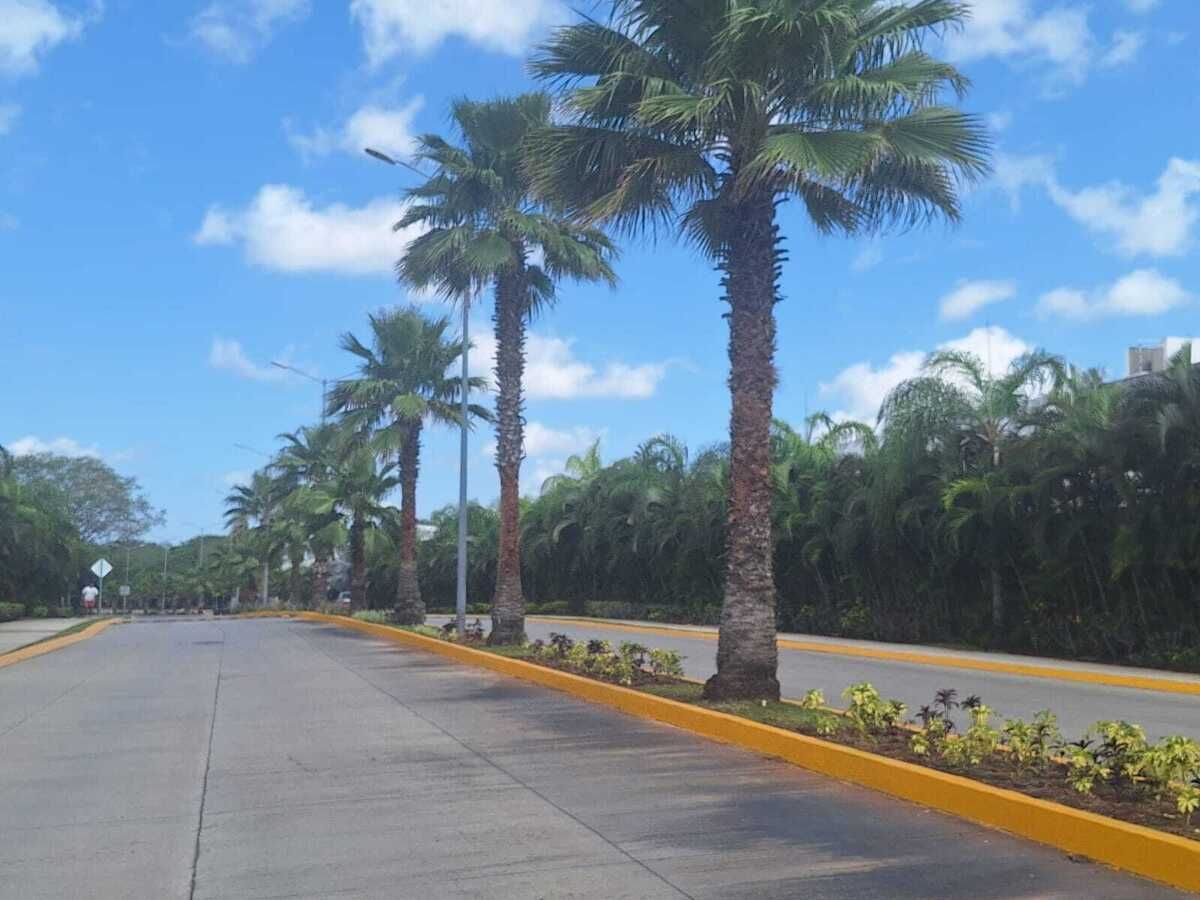 13 de 13