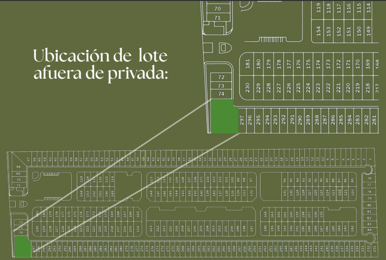 7 de 8