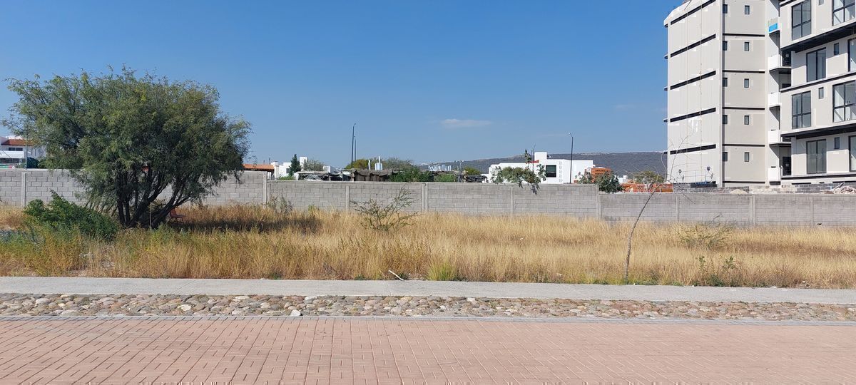 8 de 11