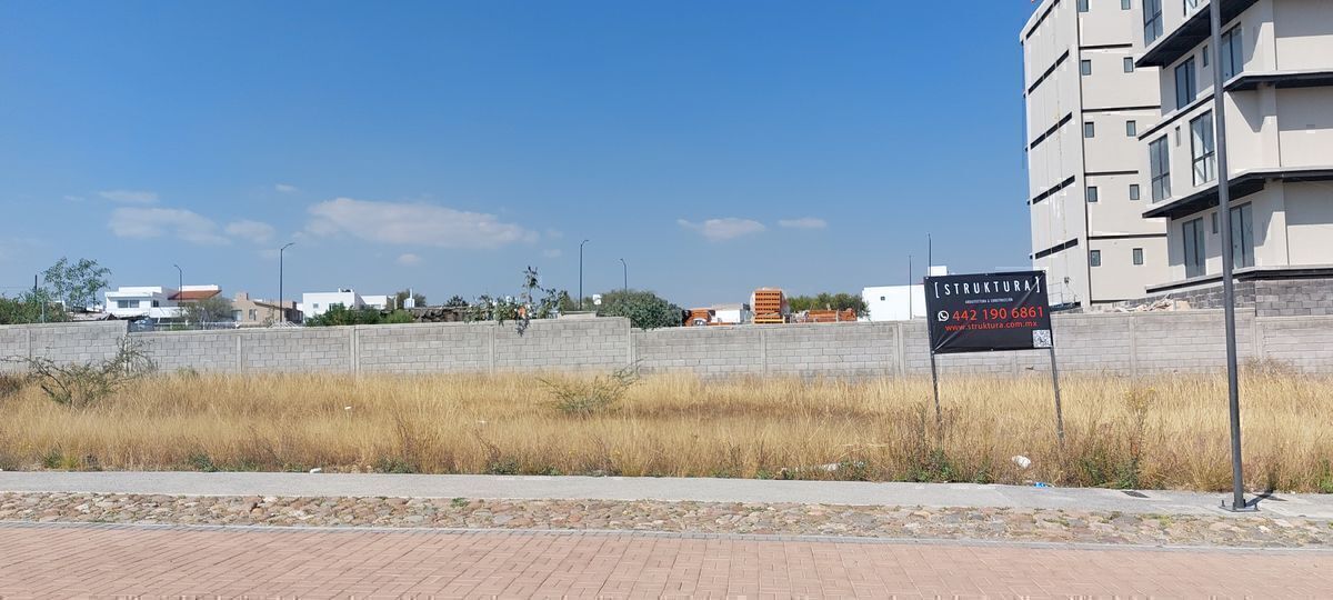 11 de 11