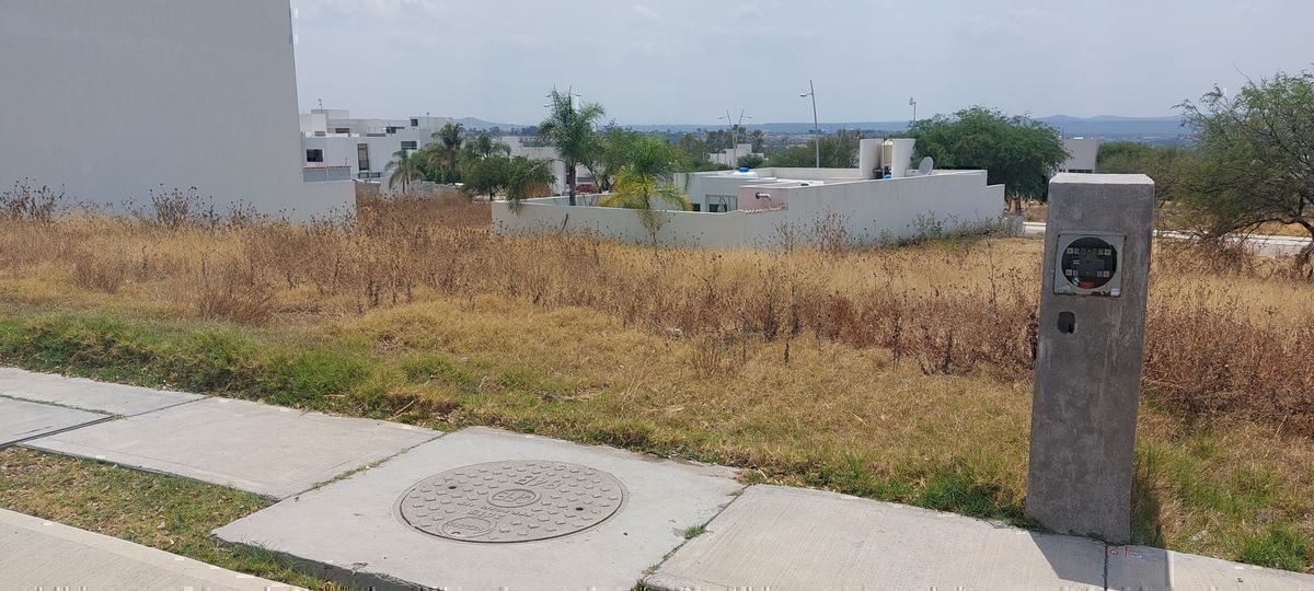 7 de 13