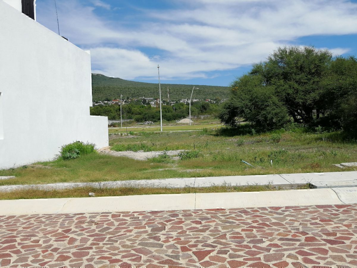 2 de 25