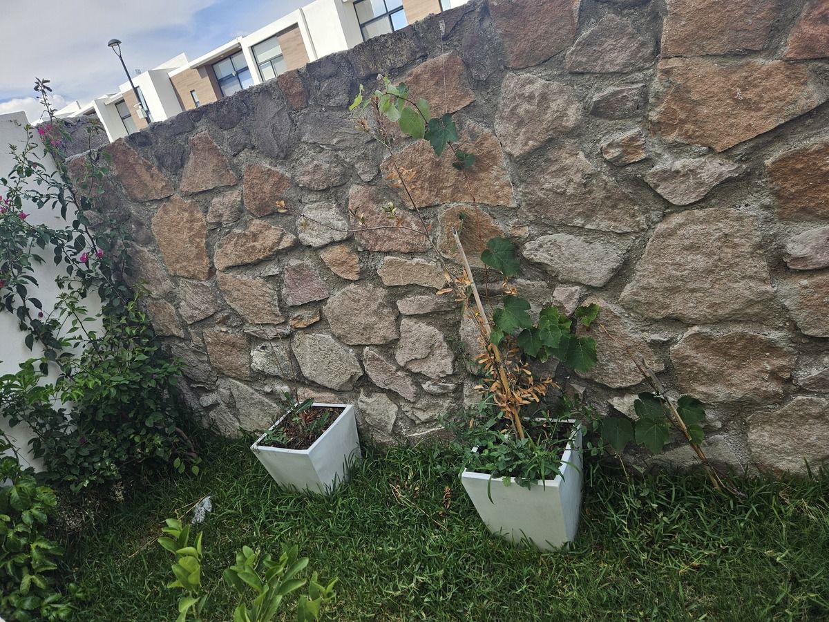 6 de 17