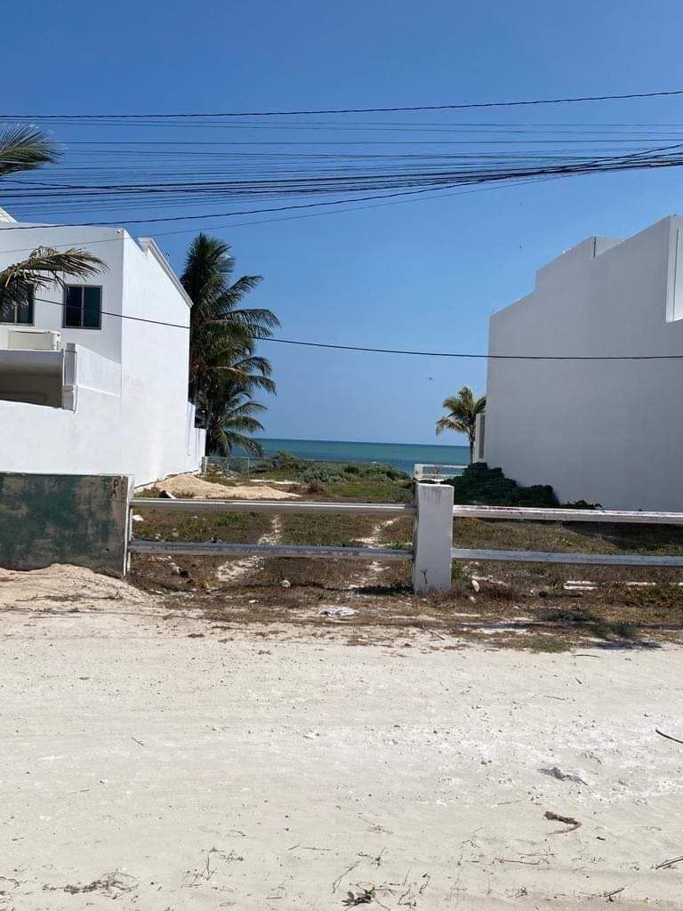5 de 8