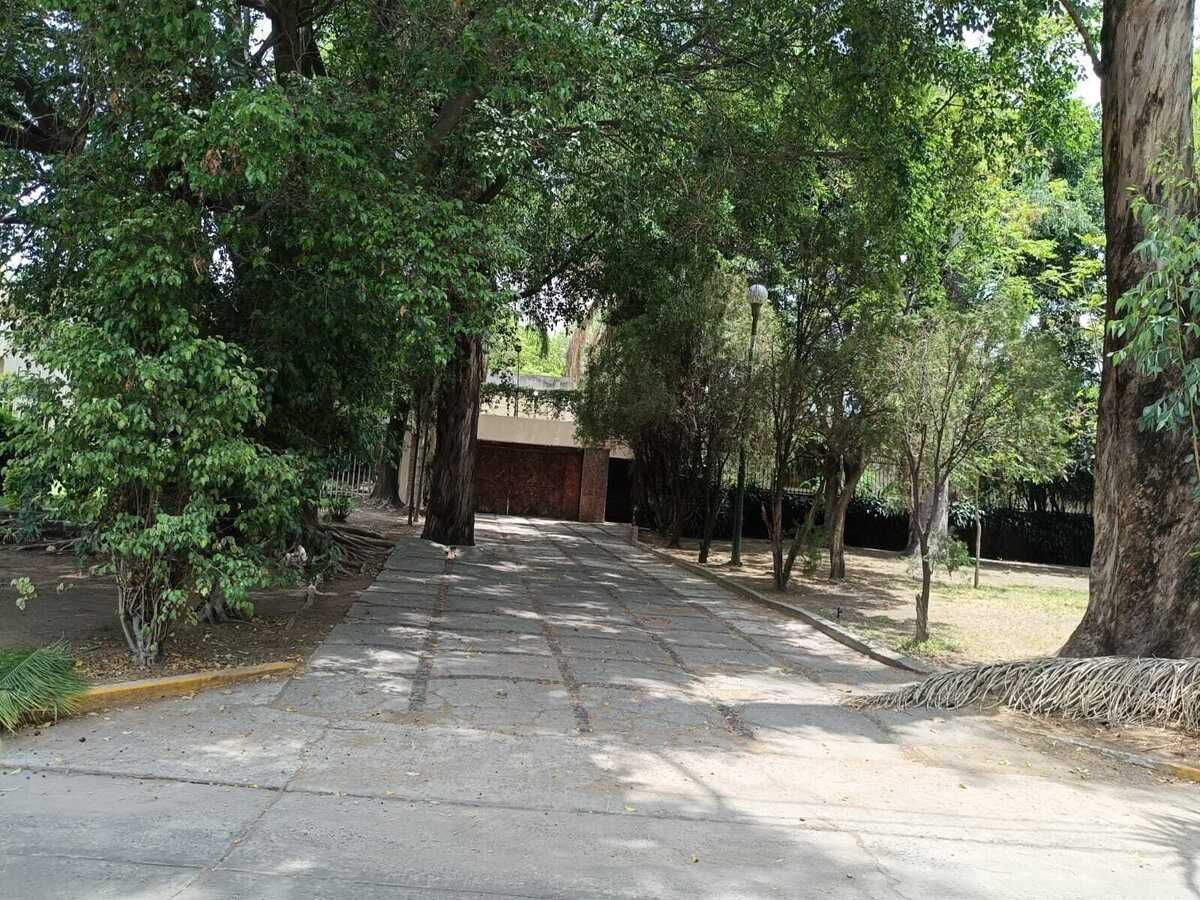 4 de 13