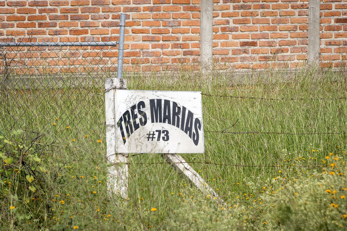 5 de 6