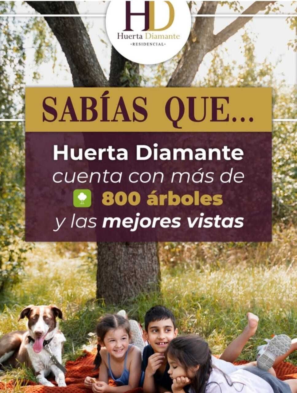 2 de 3